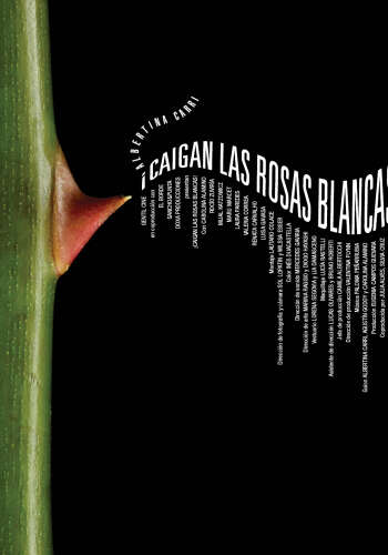 Caigan las rosas blancas